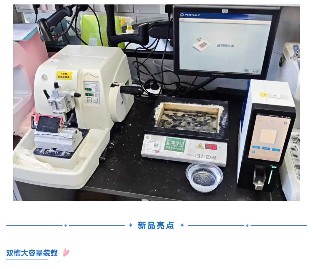 首页 - BB电子官方网站