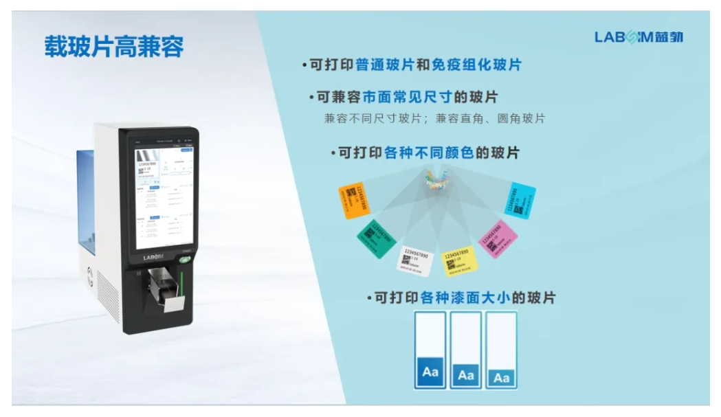 首页 - BB电子官方网站